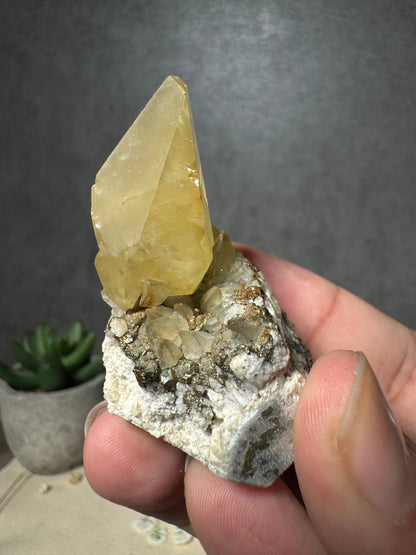 Golden Dogtooth Calcite on Matrix