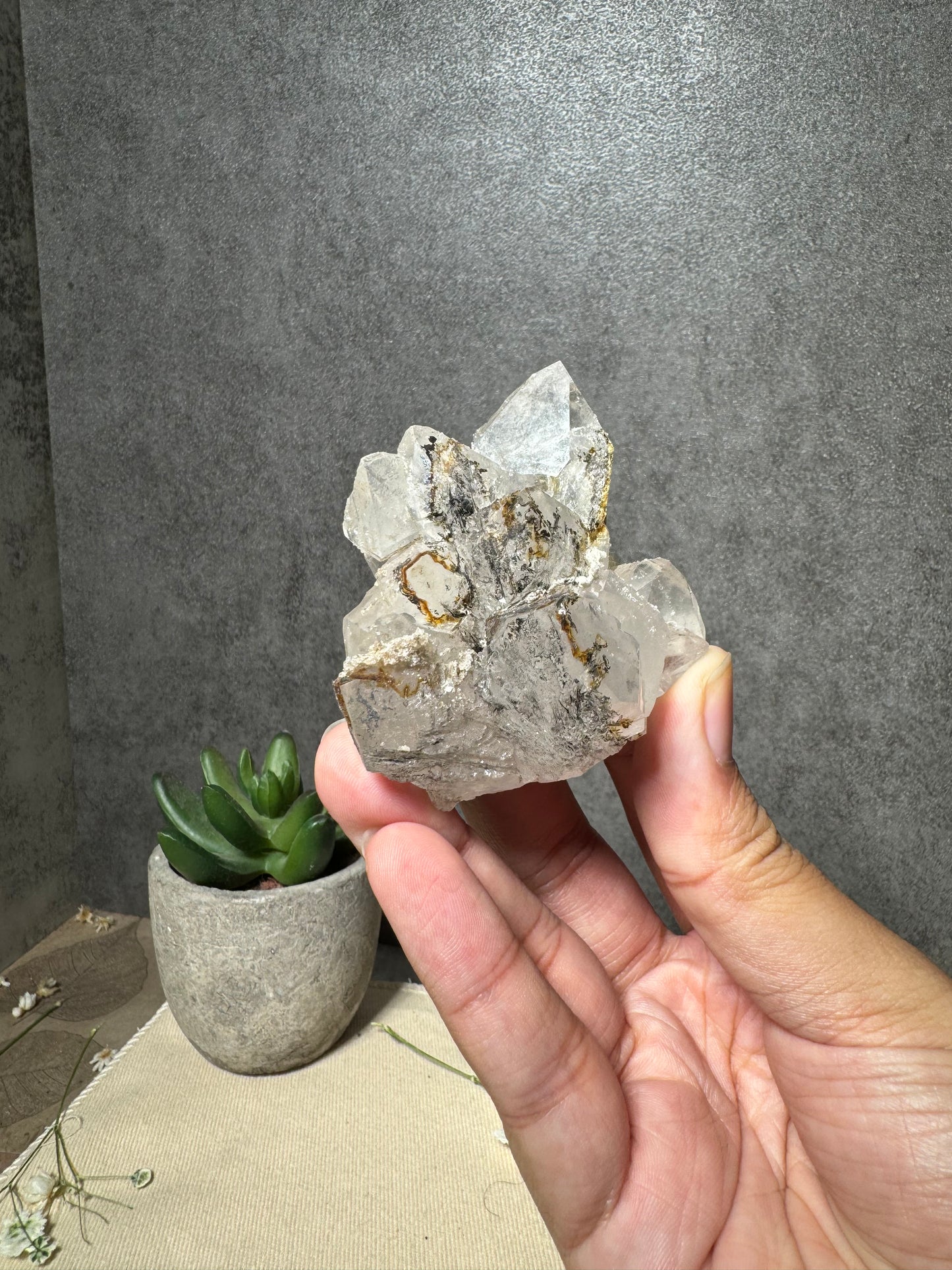 Quartz with Growth Interruption and Hematite