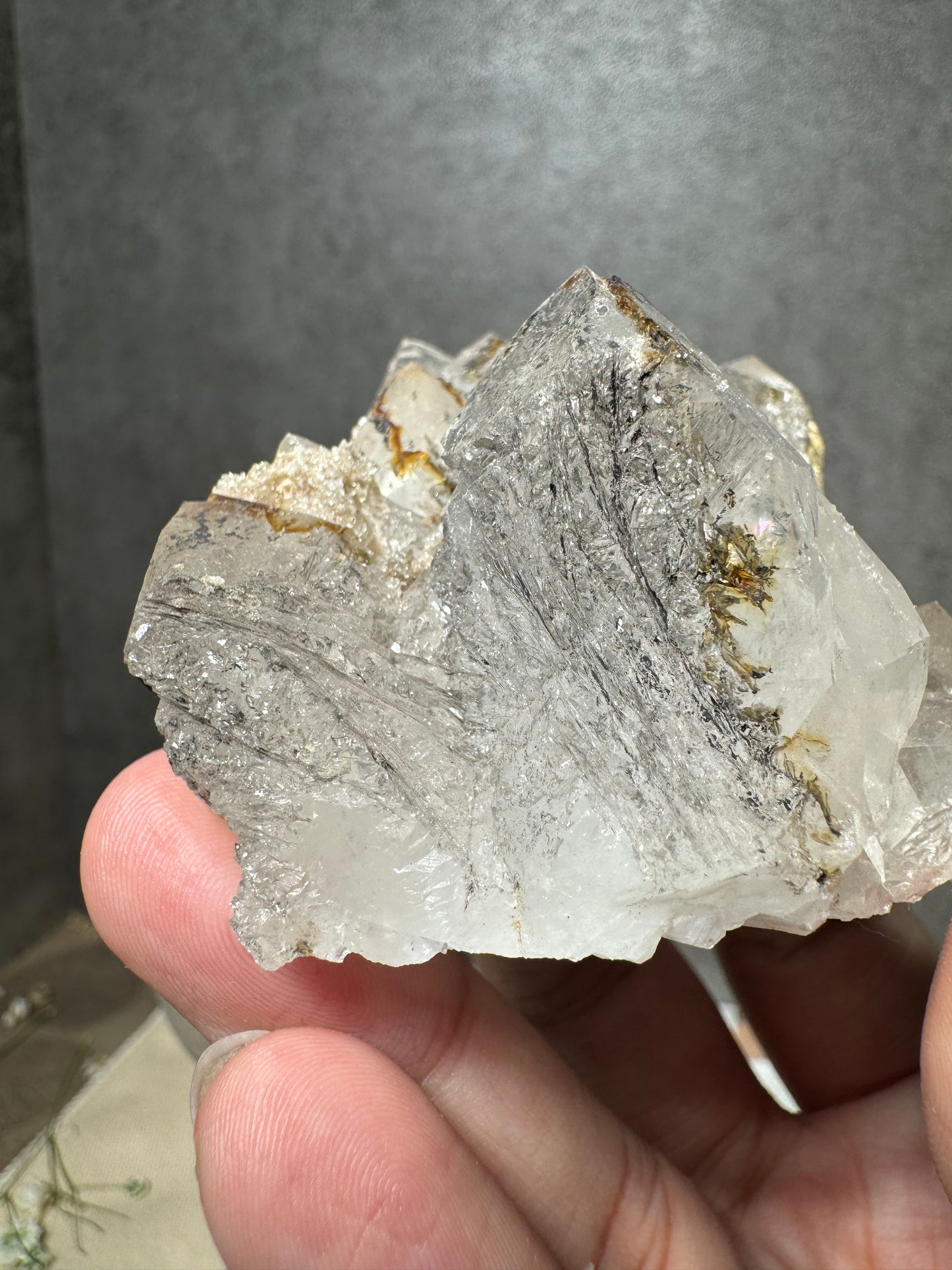 Quartz with Growth Interruption and Hematite