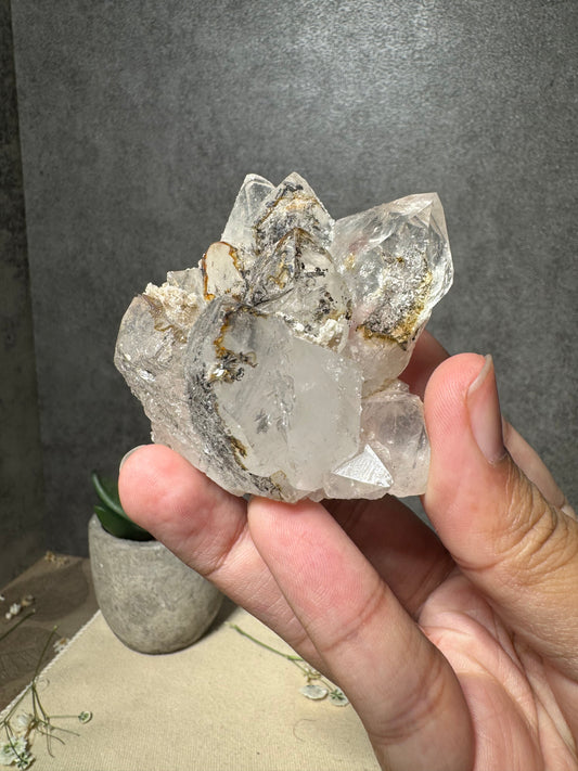 Quartz with Growth Interruption and Hematite