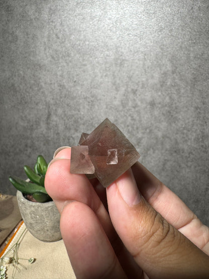 Red Octahedral Fluorite Cluster