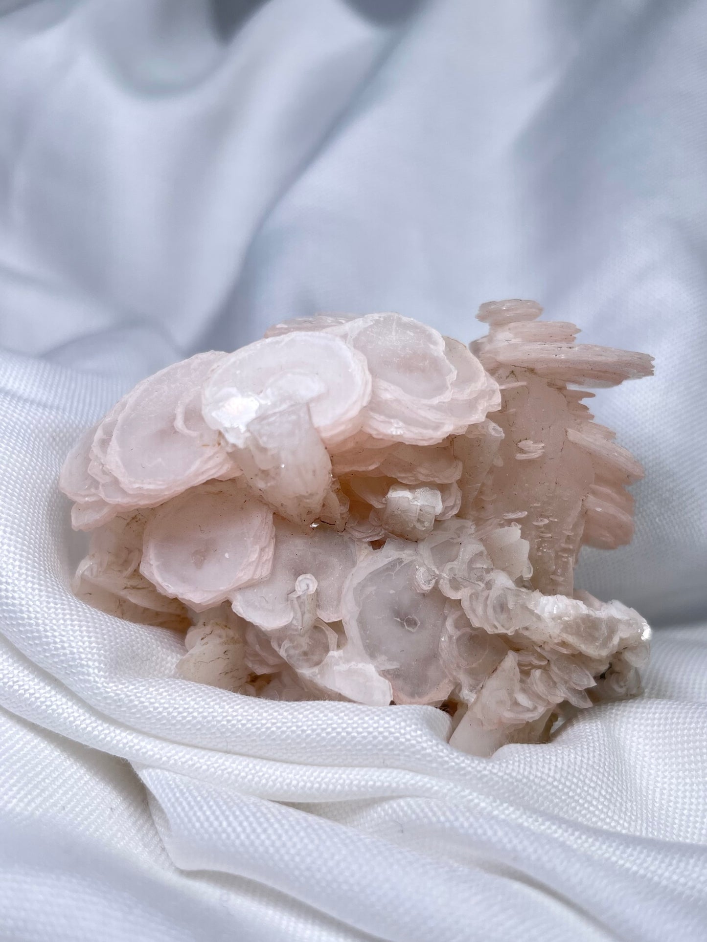 Pink Disc Calcite on Calcite