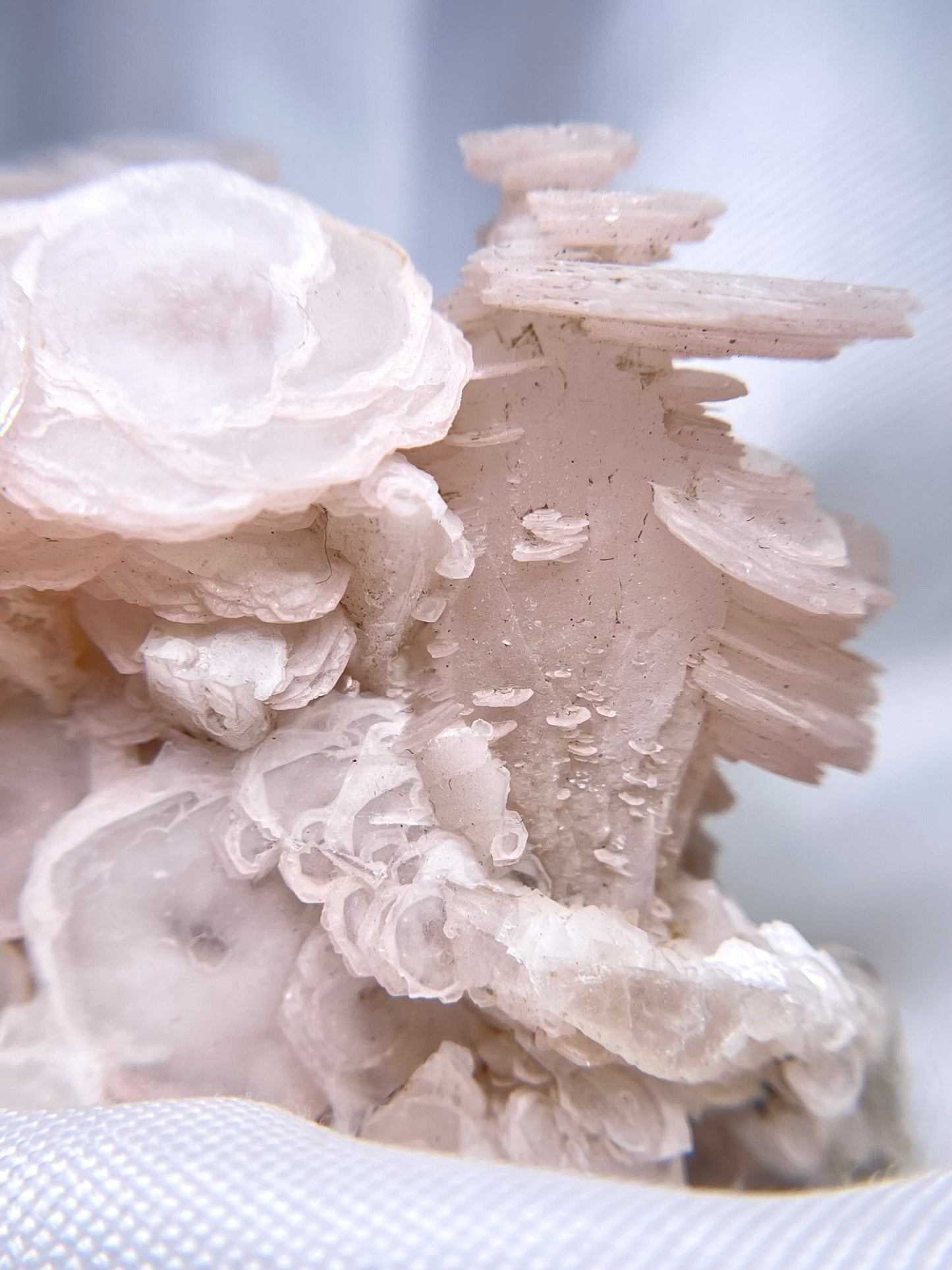 Pink Disc Calcite on Calcite