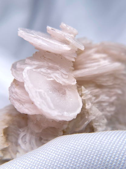 Pink Disc Calcite on Calcite