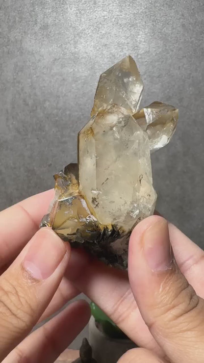 Golden Healer Quartz with Hematite (Old Stock)