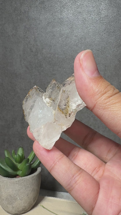 Quartz with Growth Interruption and Hematite