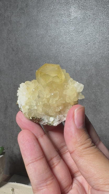 Golden Calcite on Doogtooth Calcite