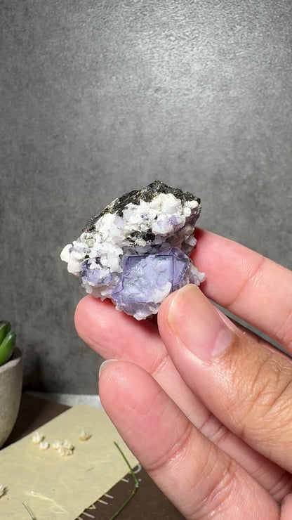 Porcelain Fluorite with Hübnerite (Second Generation)