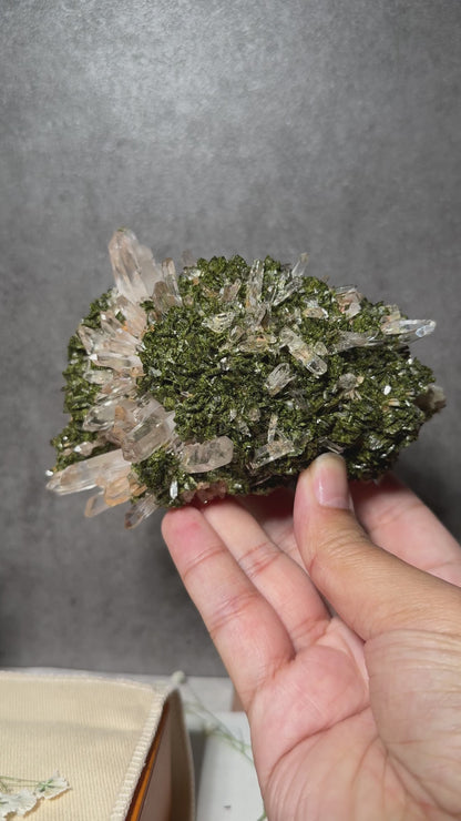 Quartz with Epidote