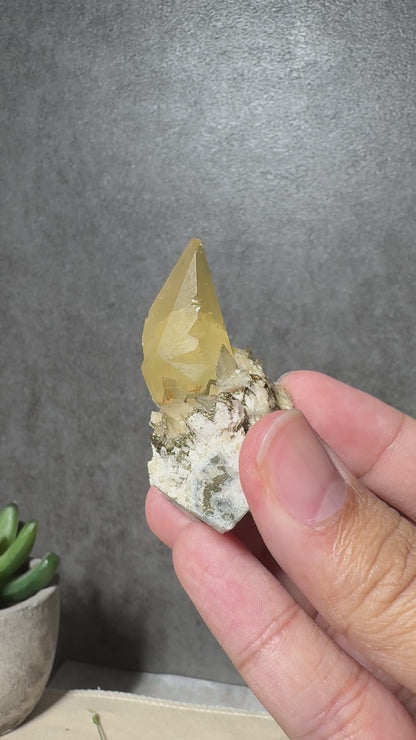 Golden Dogtooth Calcite on Matrix