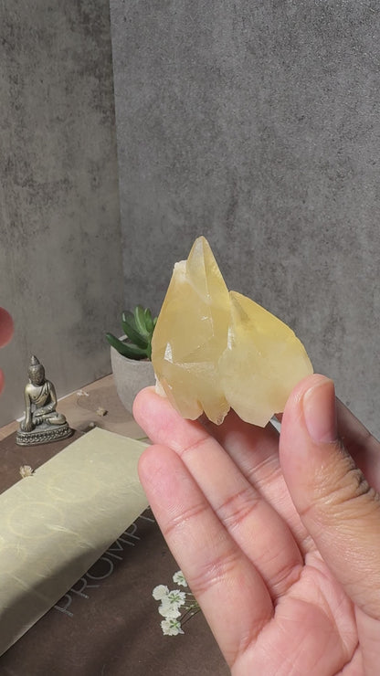 Golden Dogtooth Calcite