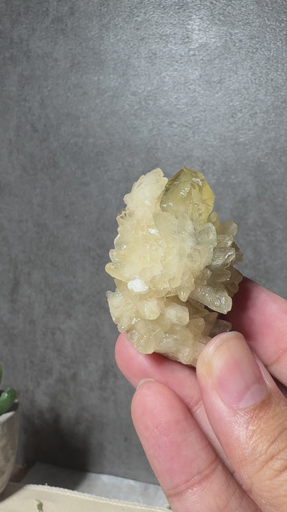 Golden Calcite on Dogtooth Calcite