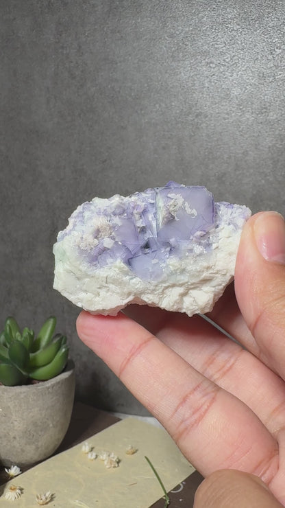 Porcelain Fluorite (Second Generation)