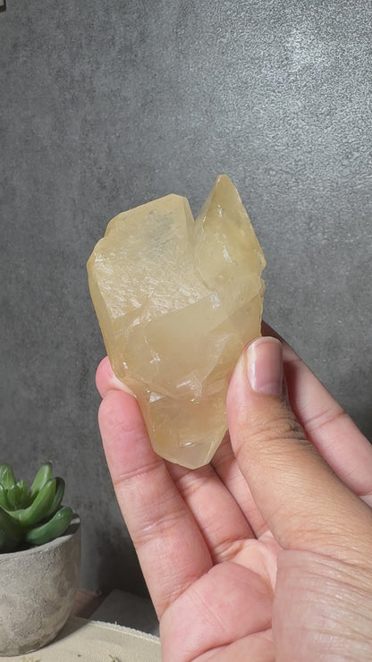 Golden Dogtooth Calcite