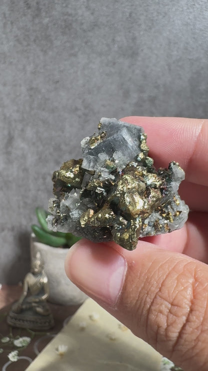 Gem Dolomite with Fibrous Black Inclusions and Iridescent Chalcopyrite