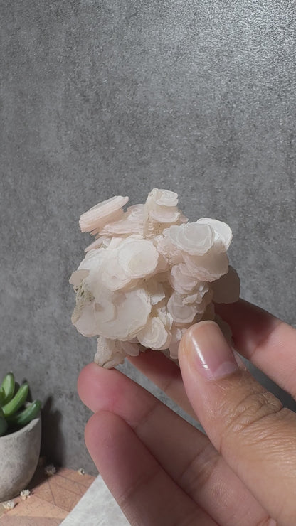 Pink Disc Calcite on Calcite