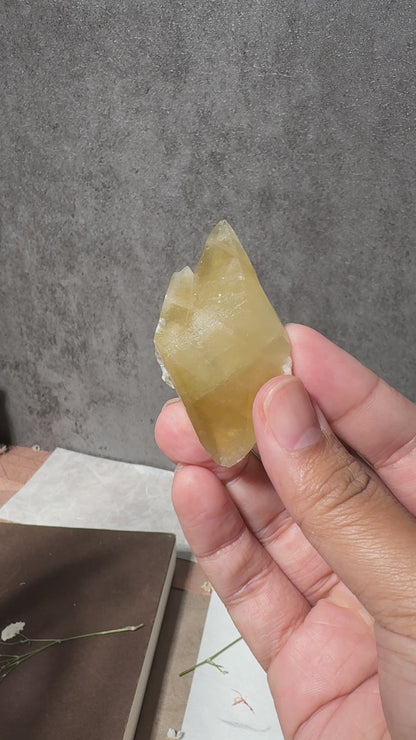 Golden Dogtooth Calcite